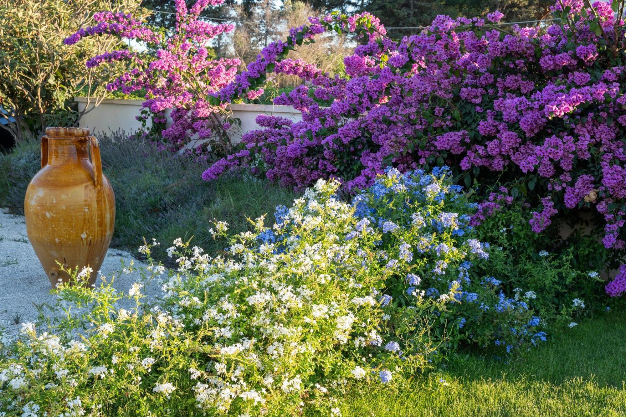 Livantea Agriresort E Residence 오트란토 외부 사진